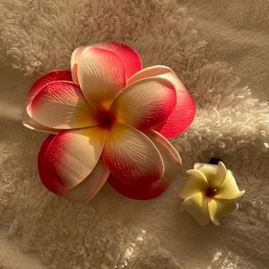 Hawaii hair clips